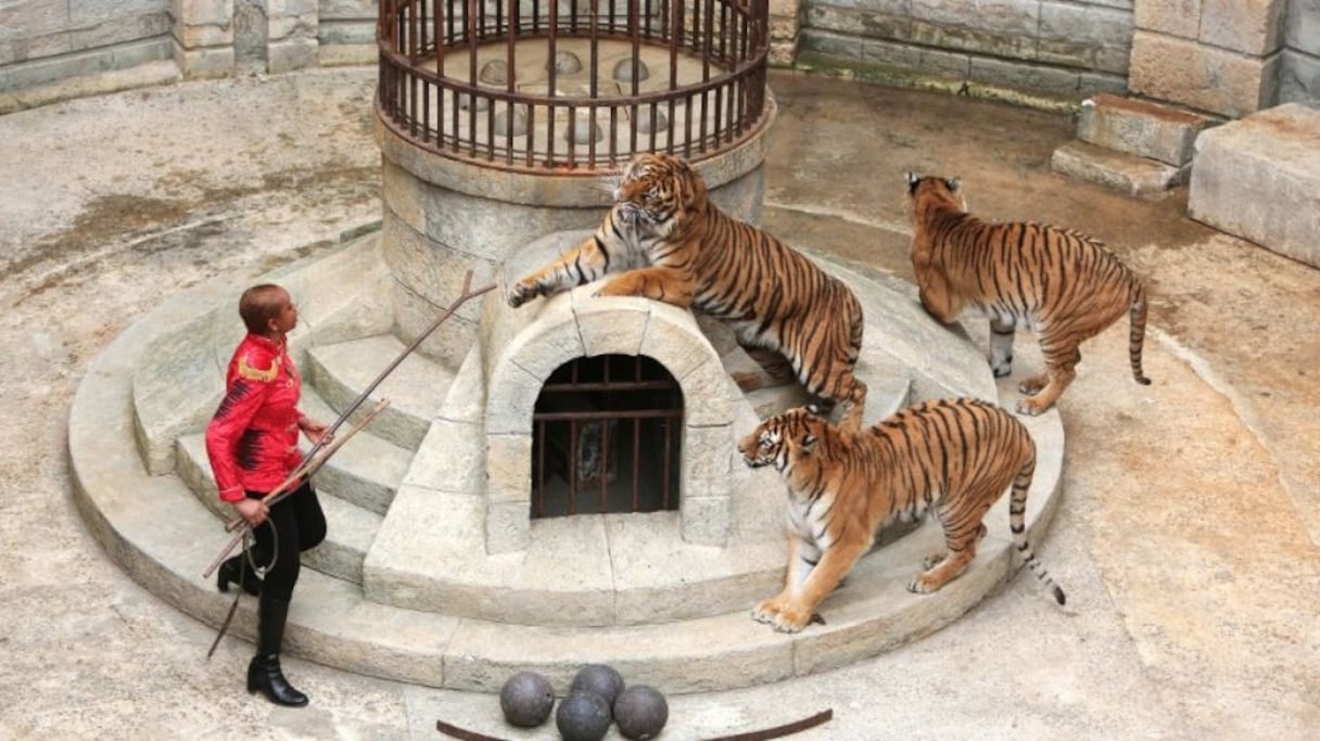 Le tournage de Fort Boyard Afrique démarre fin juin sur le site de la Rochelle en France 
