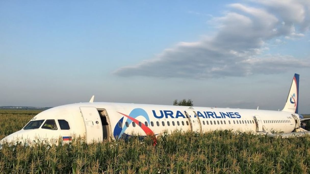 Plusieurs oiseaux se sont trouvés dans les moteurs de l'avion, provoquant "d'importantes perturbations dans leur fonctionnement". 
