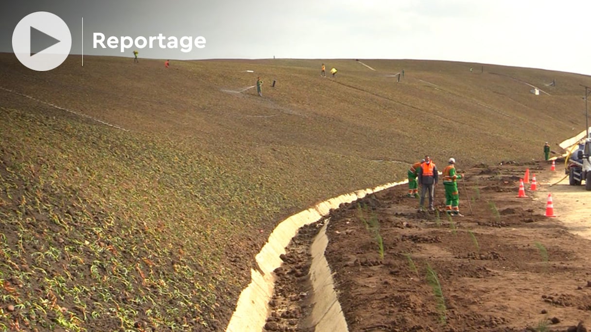 Le projet de végétalisation de l’ancienne décharge publique de Tanger.
