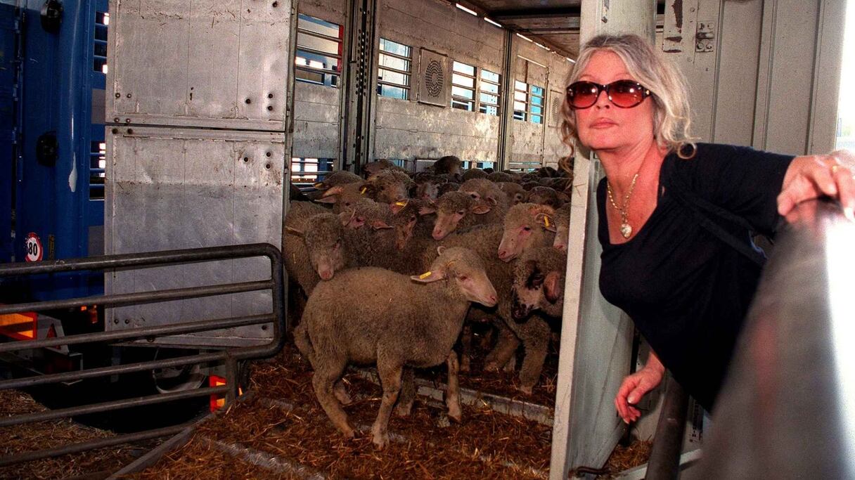 Brigitte Bardot, présidente de la Fondation Brigitte Bardot pour la protection des animaux.
