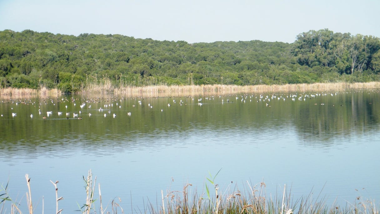 Le lac de Sidi Boughaba.
