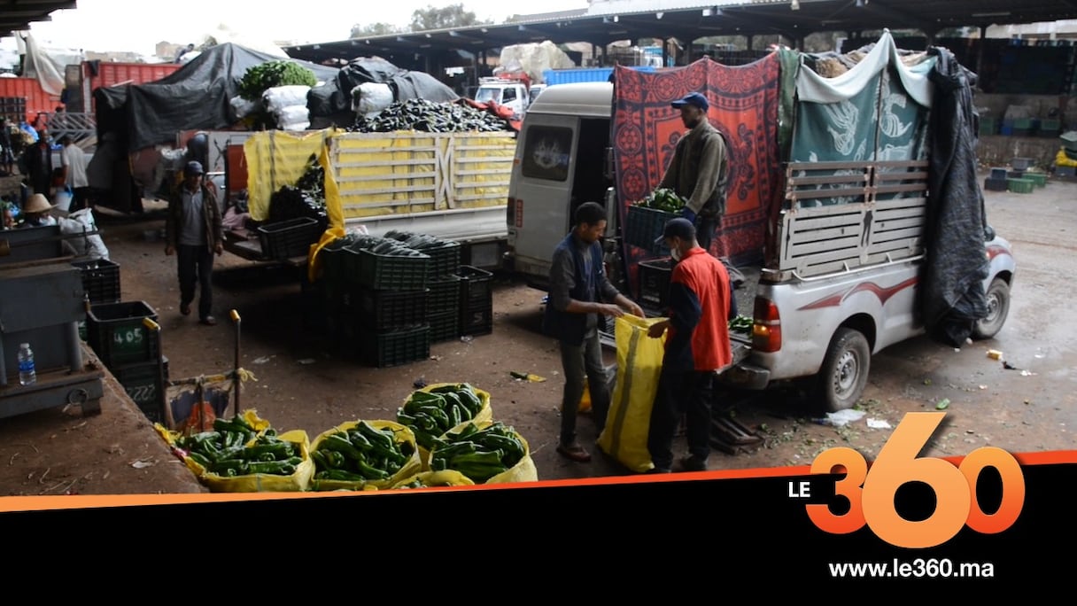 Au marché de gros des fruits et légumes de Casablanca. 
