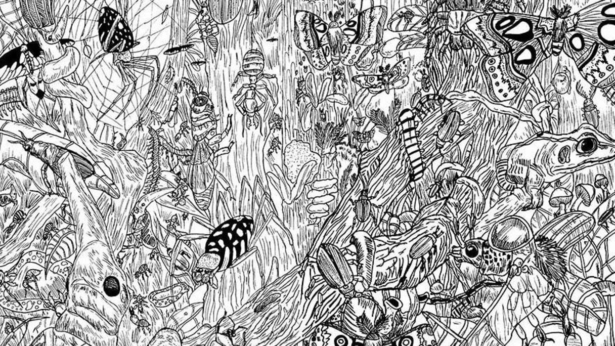 La vie est en oeuvre, effervescente, dans ces fabuleuses odyssées.
