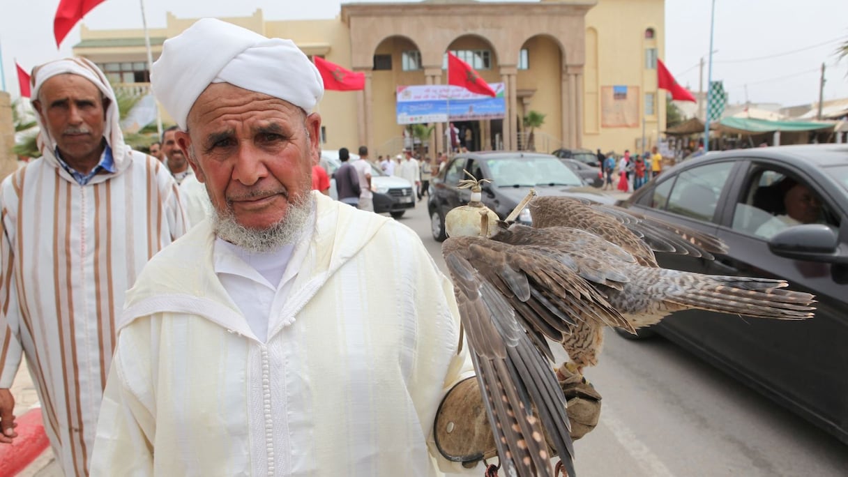 La fauconnerie fait partie des traditions du moussem qui se transmettent d'une génération à l'autre
