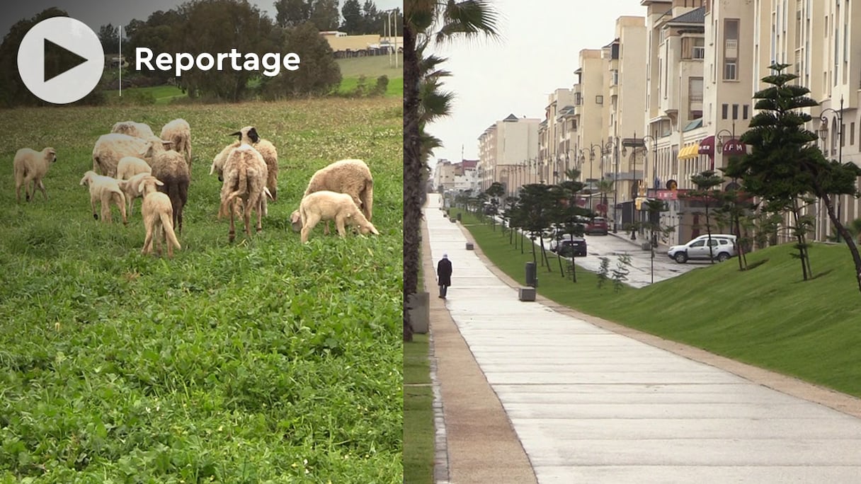 D'abondantes pluies se sont abattues ce lundi 4 avril 2022 dans la région de Rabat, ce qui satisfait et rassure le monde agricole.
