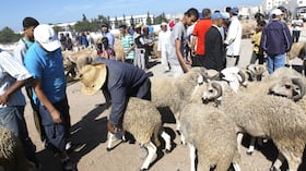 Société | Retrouvez toute l'actualité du Maroc et du monde, en temps réel, sur le premier site d'information francophone au Maroc : www.le360.ma