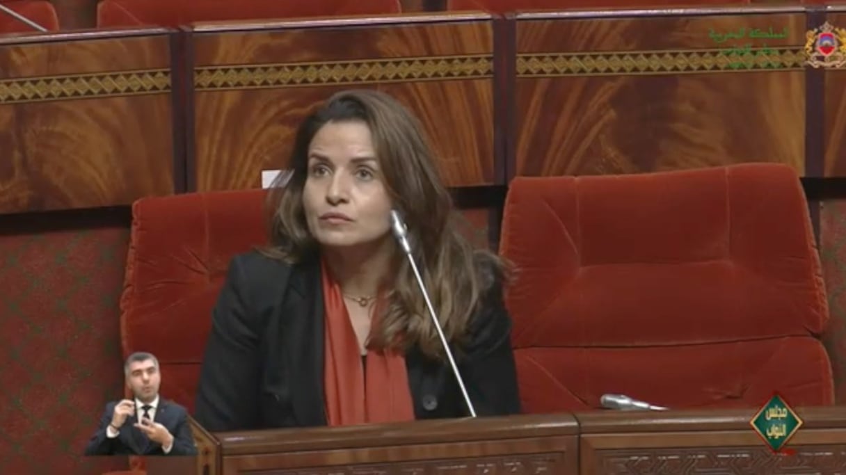 La ministre de la Transition énergétique et du Développement durable, Leila Benali.
