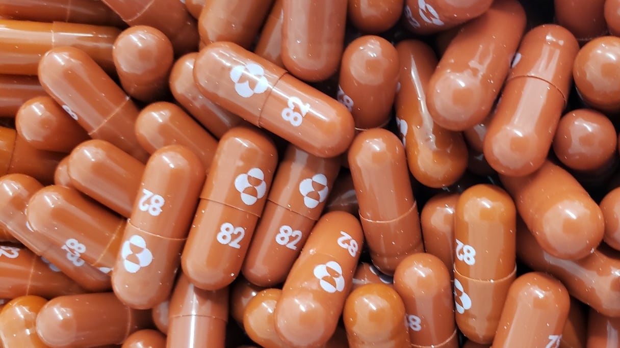 Des capsules de la pilule antivirale expérimentale Molnupiravir, développée par le laboratoire américain Merck & Co.
