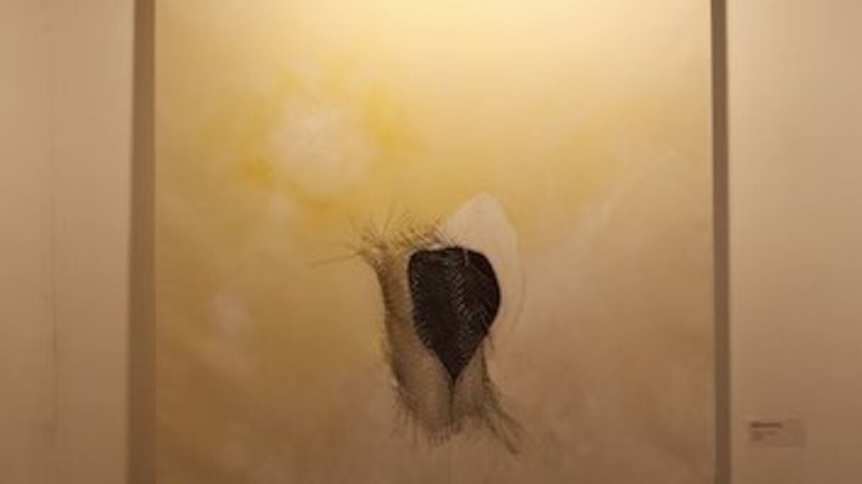 « Ces œuvres représentent également la quintessence d’une série de rencontres fructueuses et de travaux laborieux", affirme Mustapha Romli.
