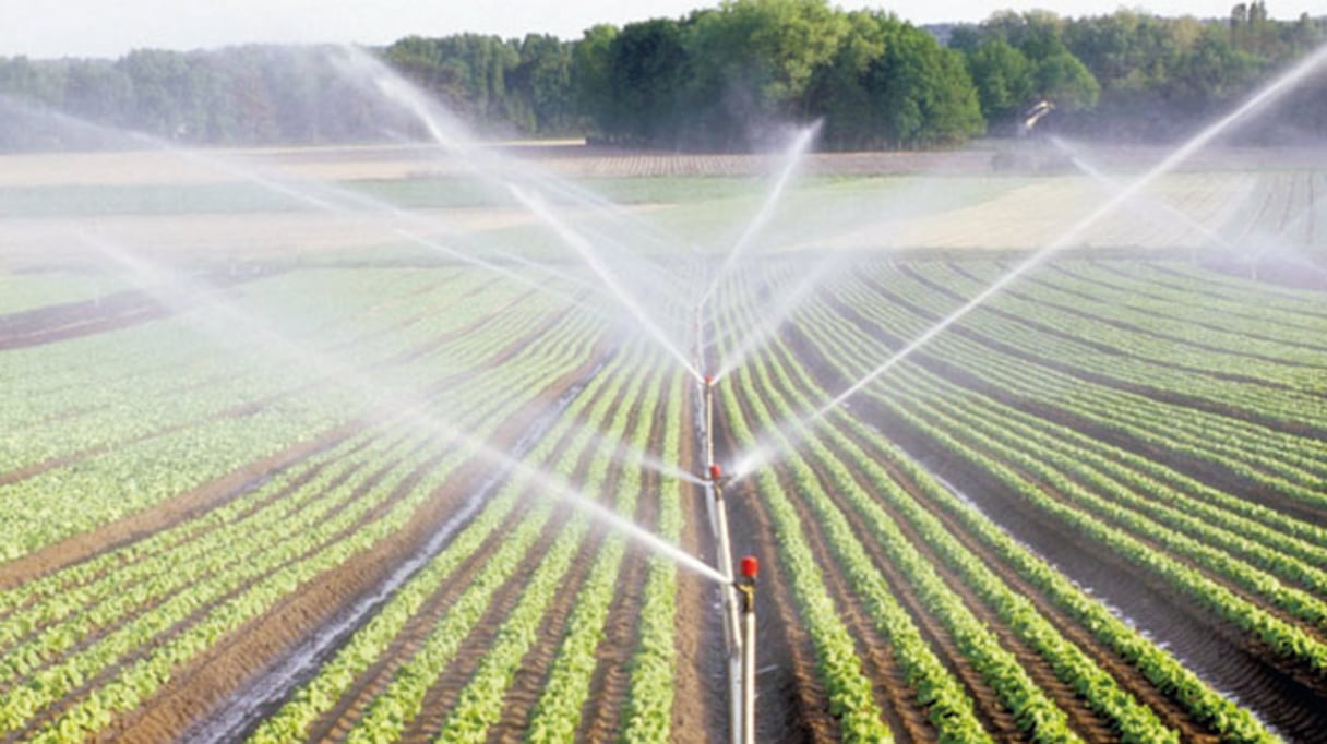 Système d'irrigation.
