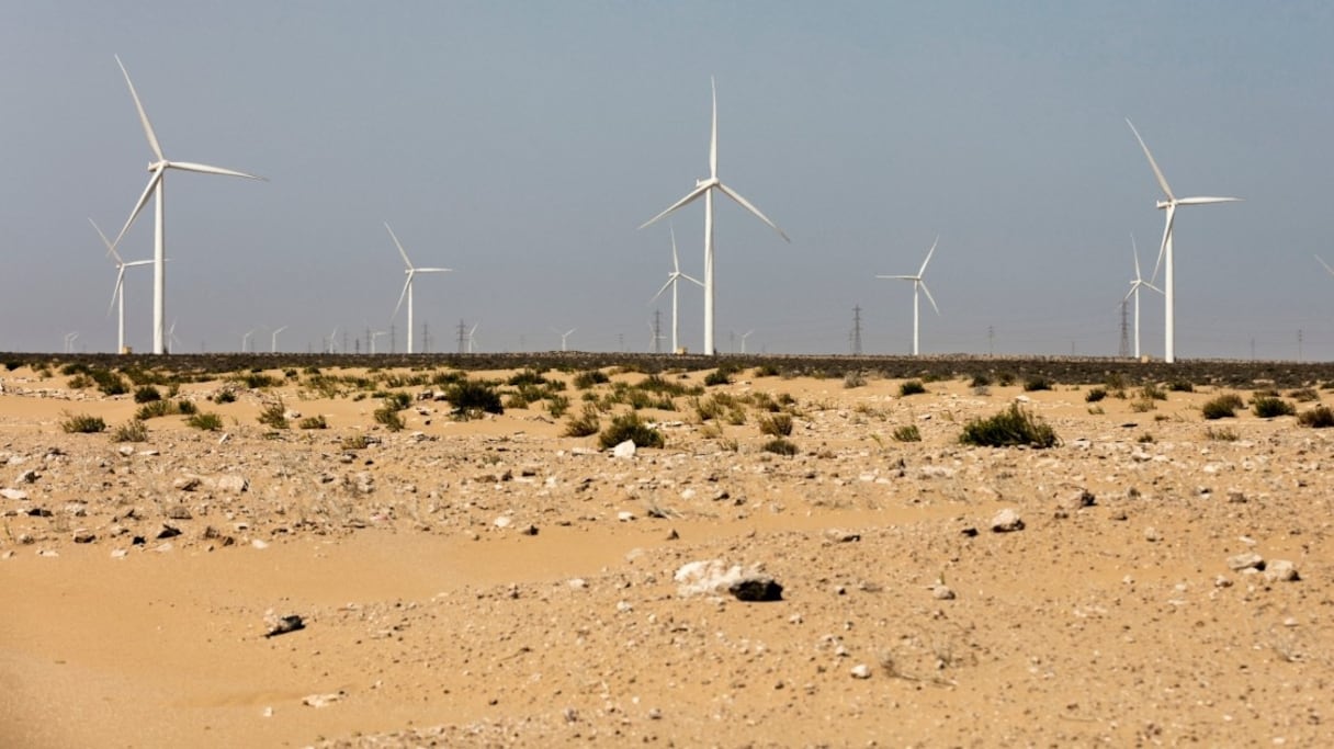 Entré en service fin 2014, le parc éolien de Tarfaya, dans la région de Laâyoune-Sakia El Hamra, est le plus grand d'Afrique. Ses 130 turbines et 131 éoliennes de 81 mètres de hauteur couvrent les besoins en électricité de plusieurs centaines de milliers de personnes. 
