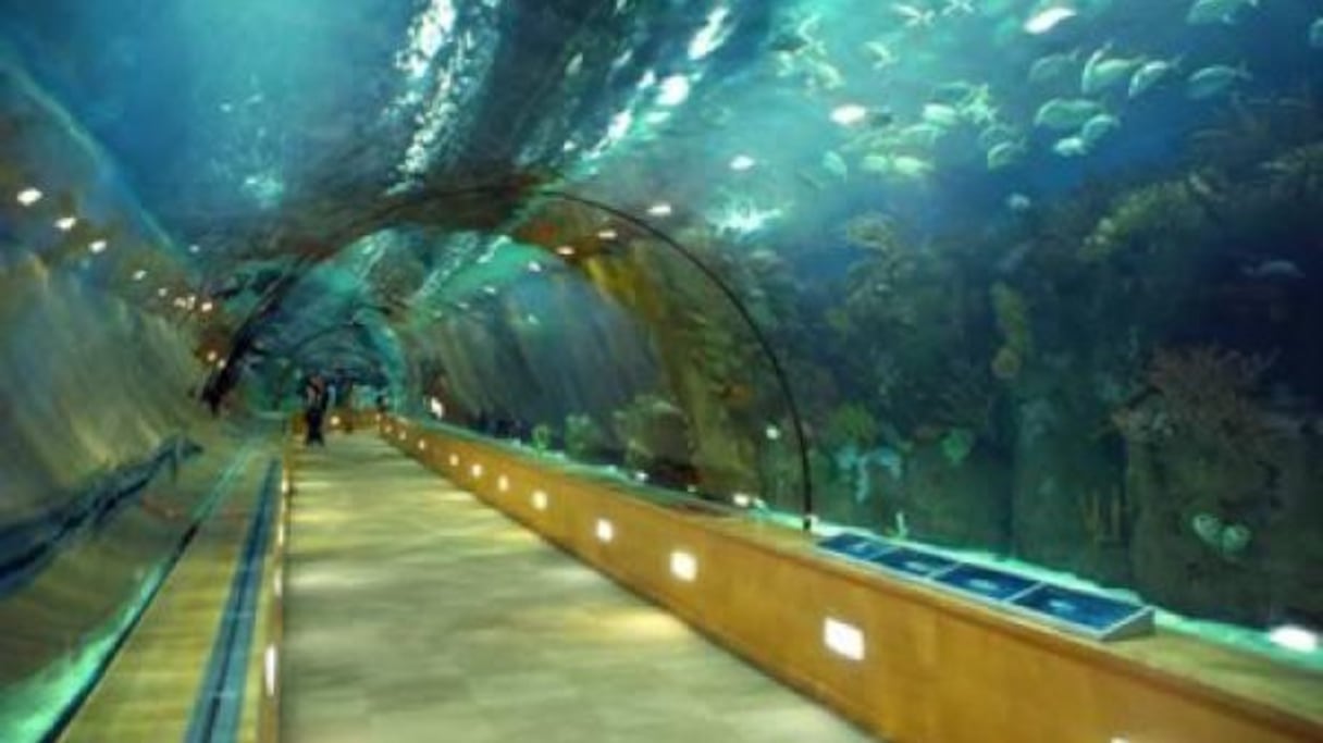 L’aquarium de valence, dont sera inspiré celui de Casablanca.