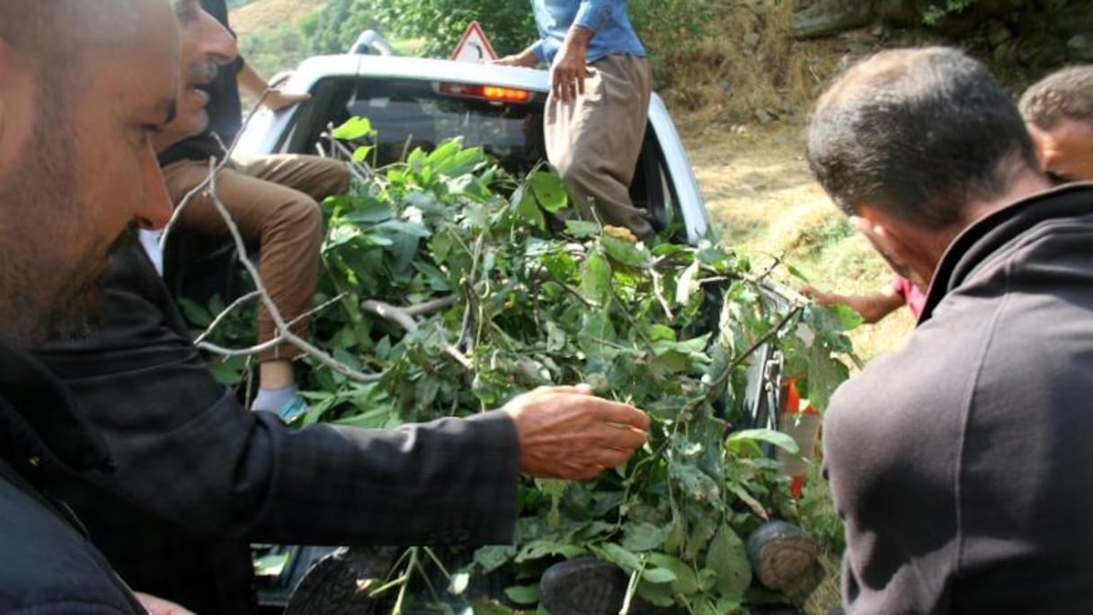 Des villageois recouvrent de branchages le corps d'un soldat tué dans une attaque le 7 septembre 2015 à Hakkari dans la région de Daglica.
