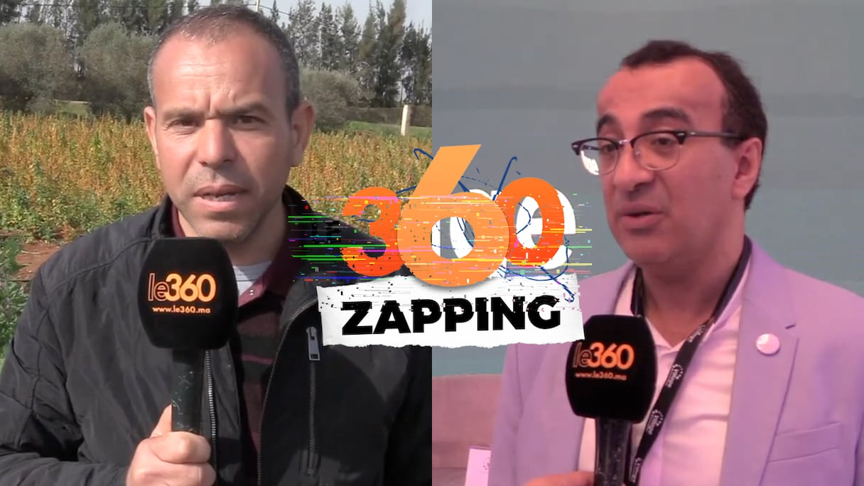 Zapping le360