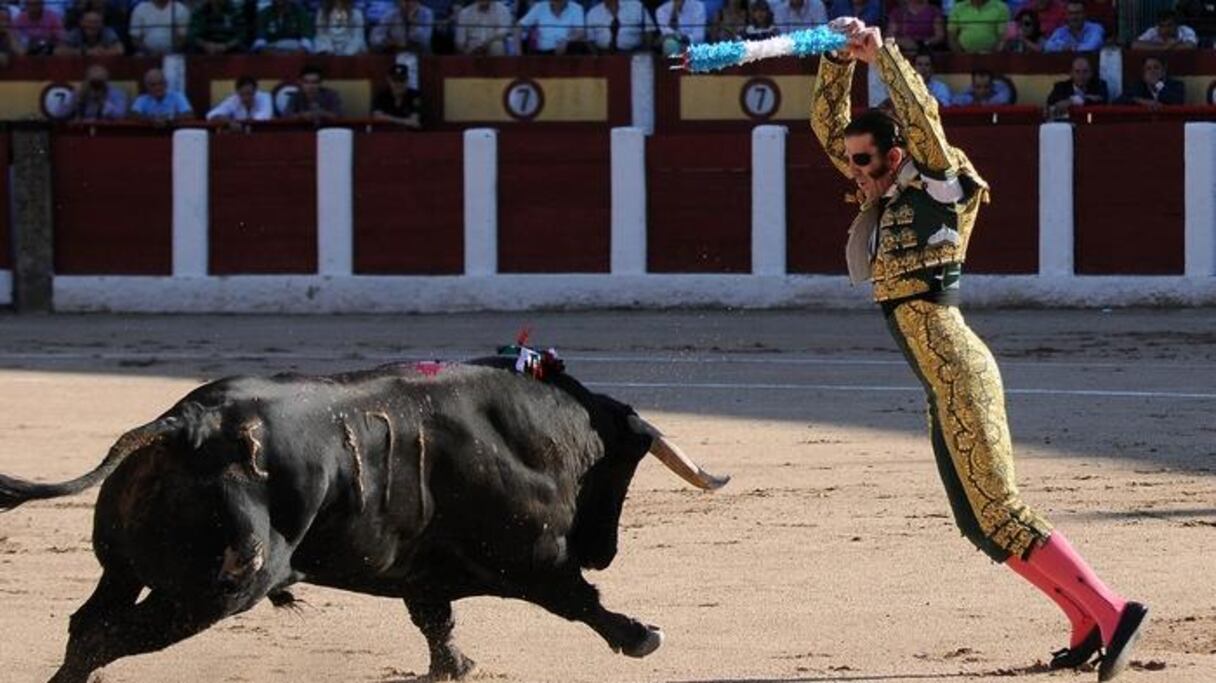 Un spectacle de tauromachie à Talavera de la Reina.
