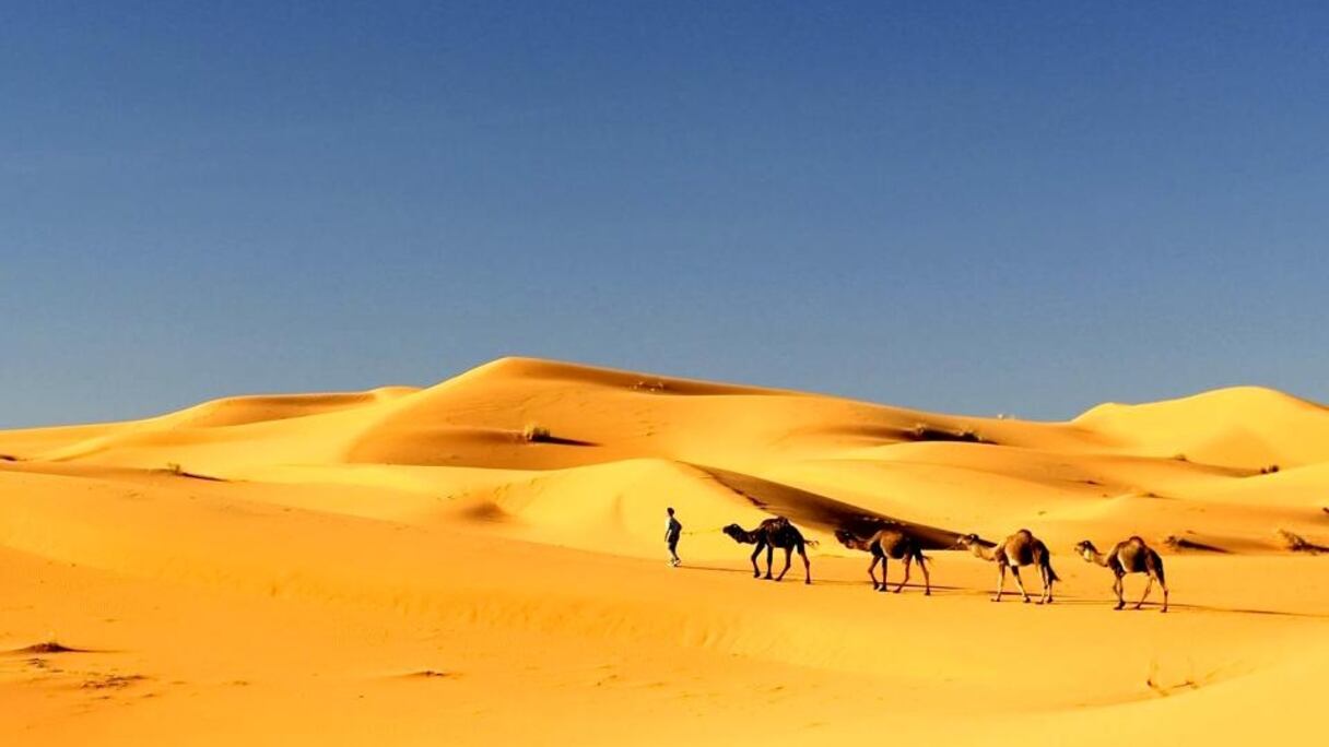 Dunes de Merzouga, province d'Errachidia. 
