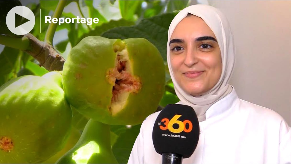 La docteure Zineb Benkadour revient sur les vertus de la figue.

