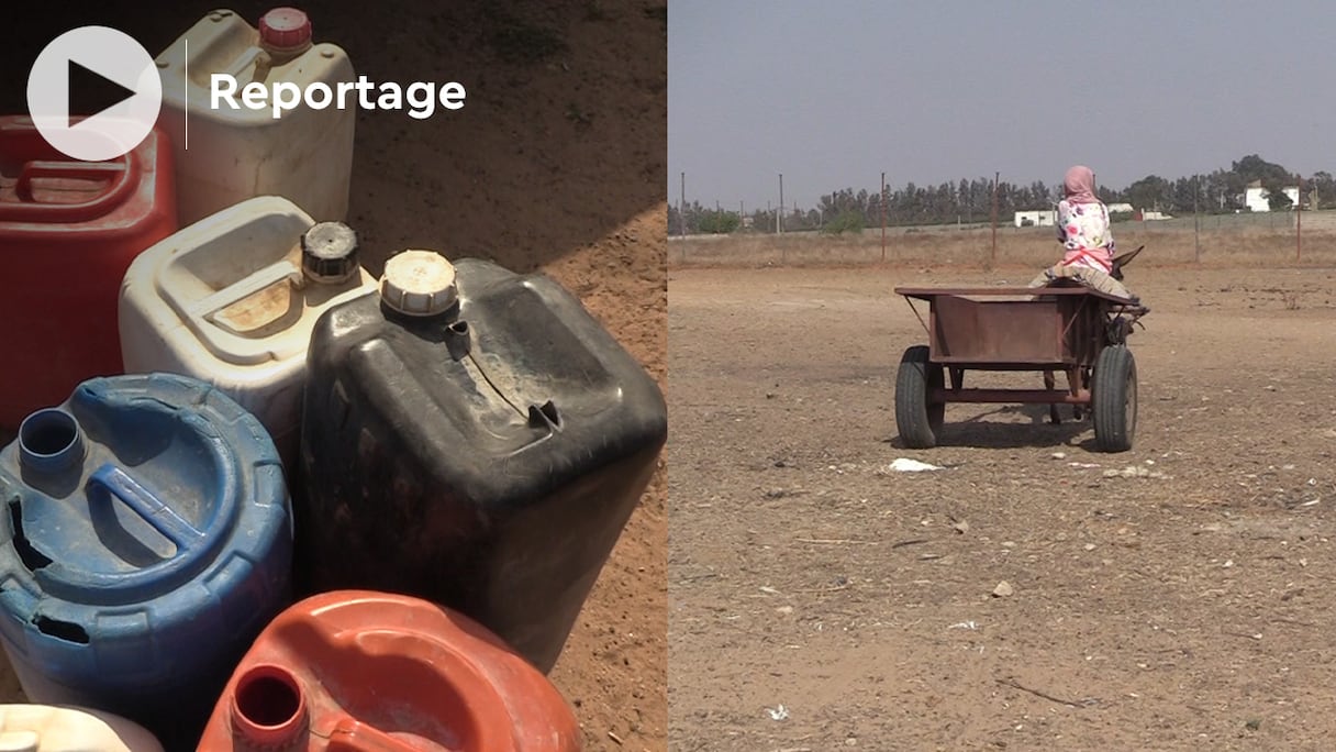 Dans le village de Moghane, à quelques km au sud de Tiflet, le monde rural subit les effets cumulés de la canicule, de la sécheresse et du manque de pluies.
