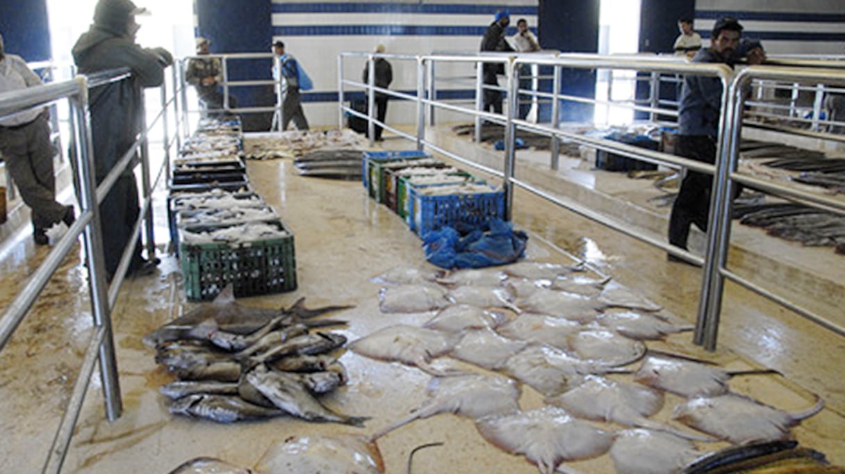 Une halle aux poissons.
