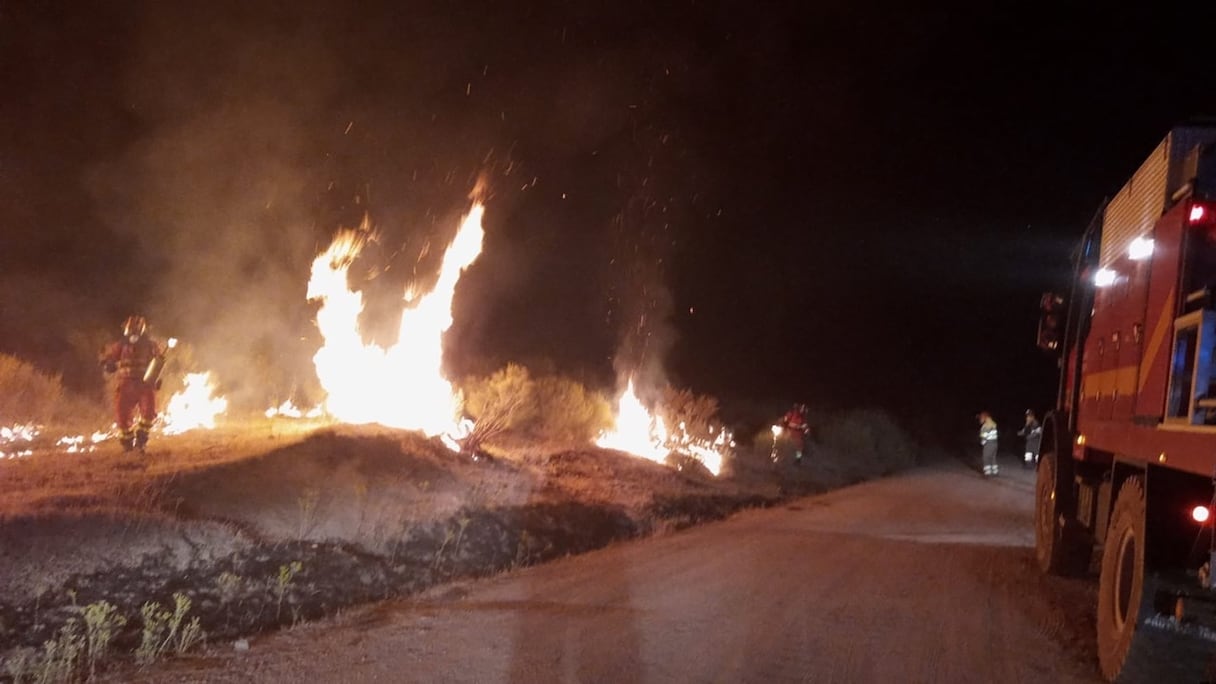 L'incendie s'est déclenché samedi matin près de la localité de Navalacruz au nord-ouest de Madrid
