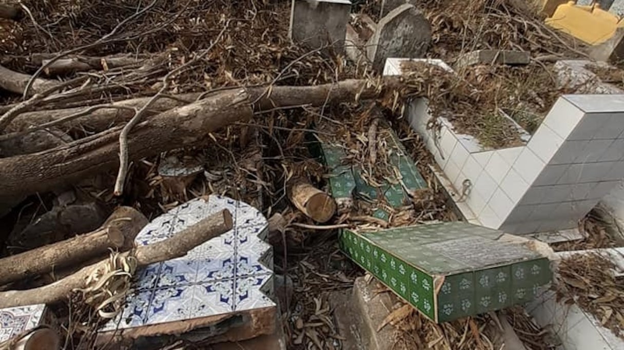 Des tombes du cimetière Sidi Boukhari de Kénitra abimées par les arbres.
