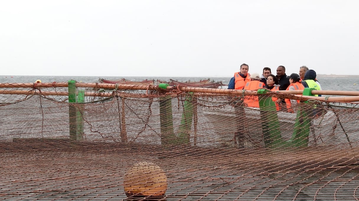 Lors de visites de projets d'investissement privé dans l'aquaculture effectués par Akhannouch à Dakhla.
