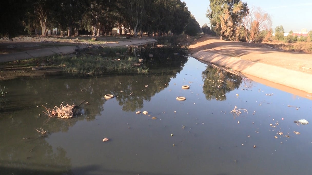 L’actuelle dégradation subie par l’oued Fès, qui traverse la cité en plusieurs endroits, résulte d'une accumulation de pollutions diverses et variées, sur plusieurs années.
