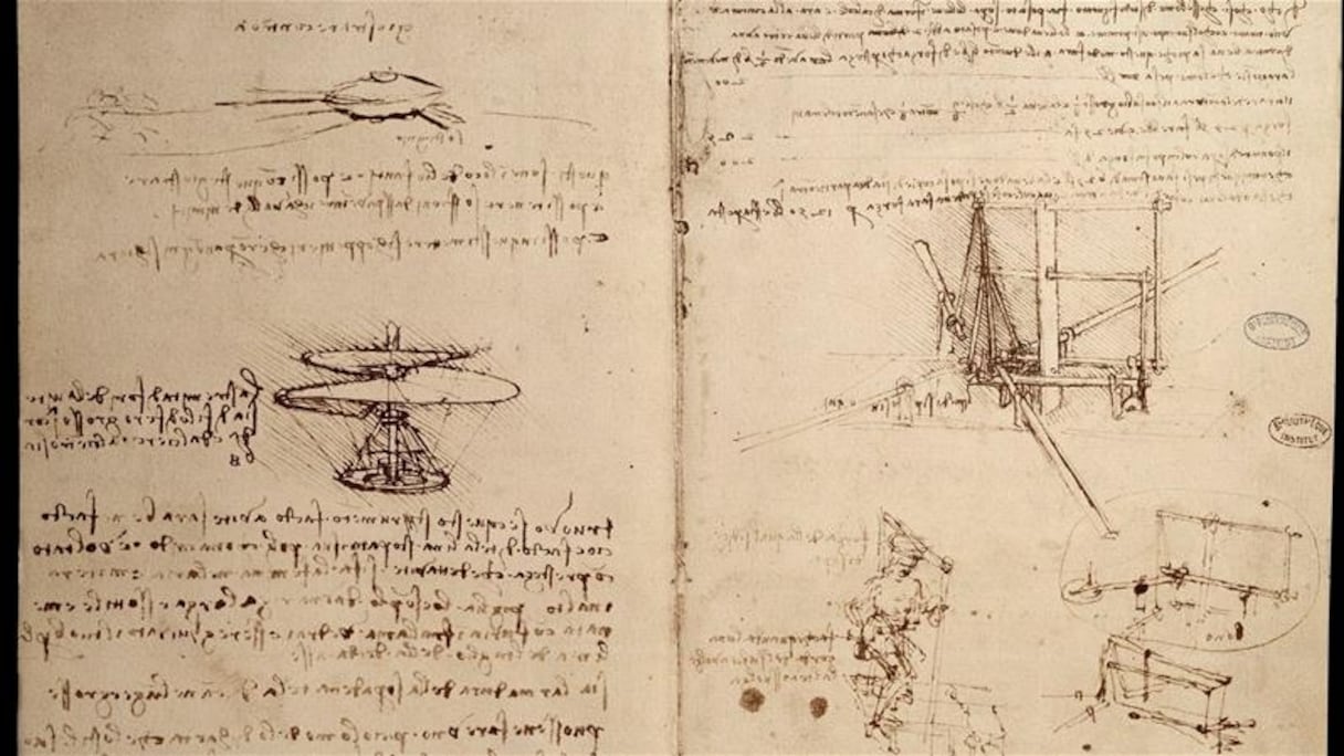 Les carnets du maître de la Renaissance sont bourrés de croquis et de figures géométriques. 
