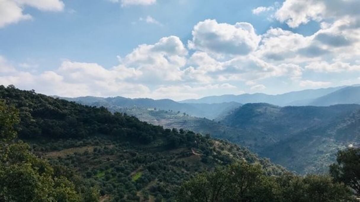 Parc national de Tazzeka, à 20 km de Taza. Sur 120 km², la faune y est très riche: cerfs de Berbérie, loups (Canis lupus lupaster, découverts en 2012), renards, mouflons... Les chênes verts, chênes-lièges et chênes zéens recouvrent les pentes du jbel Tazzeka (1.980 m). 
