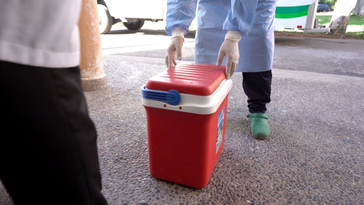 A l'entrée du laboratoire de virologie de l'Institut Pasteur-Maroc, à Casablanca.
