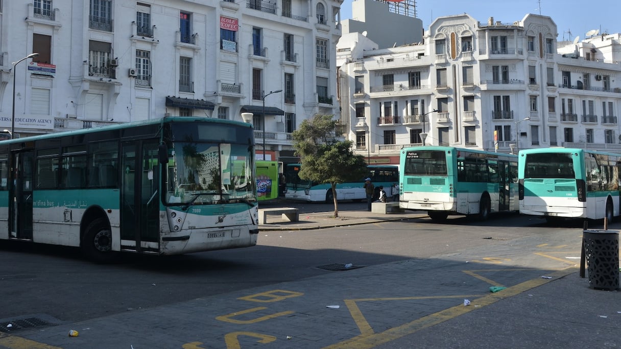 Mdina Bus
