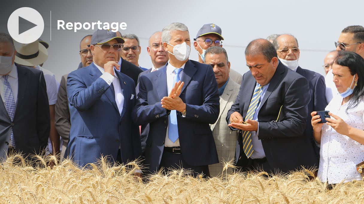 Lors de la visite du ministre de l'Agriculture, de la Pêche maritime, du Développement rural et des Eaux et forêts, Mohammed Sadiki, de plusieurs projets de développement agricole dans la province de Berrechid.
