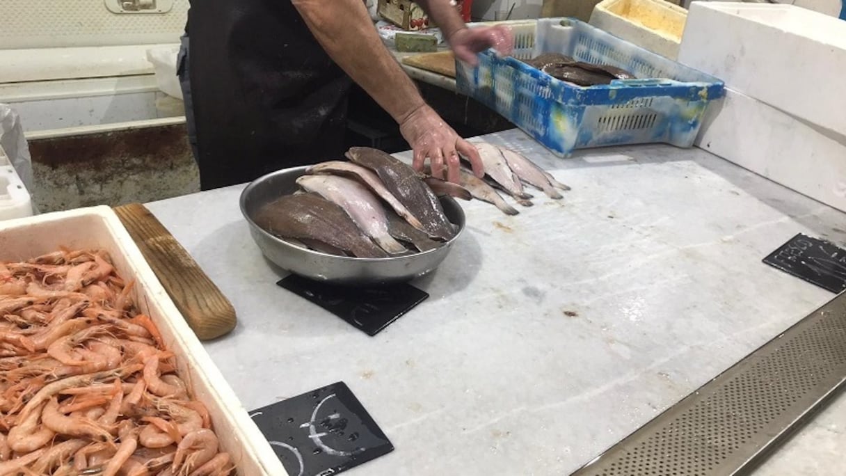 Etal d'un poissonnier au marché aux poissons de Sebta. 
