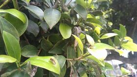 Société | Retrouvez toute l'actualité du Maroc et du monde, en temps réel, sur le premier site d'information francophone au Maroc : www.le360.ma