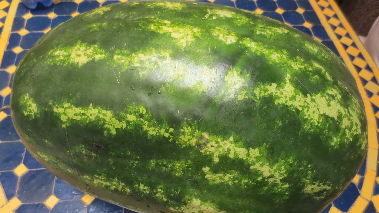 Une pastèque cultivée au Maroc. 
