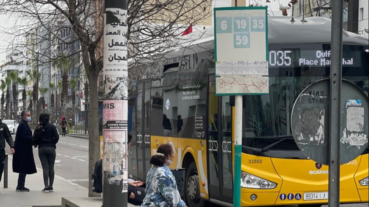 Les nouveaux bus de Casablanca, affrétés par la société Alsa. 
