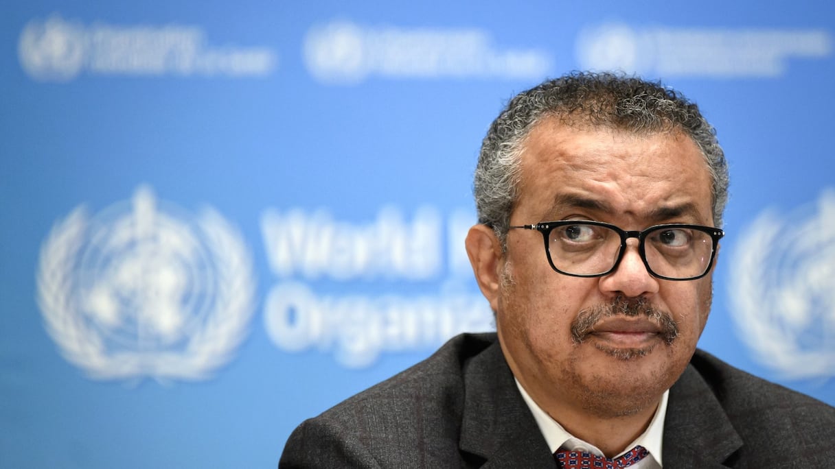 Le directeur général de l'OMS, Tedros Adhanom Ghebreyesus, est le seul candidat à la direction de l'agence de santé des Nations Unies à l'expiration de son mandat actuel, a indiqué à l'AFP une source diplomatique le 29 octobre 2021. Son mandat expire en août 2022.
