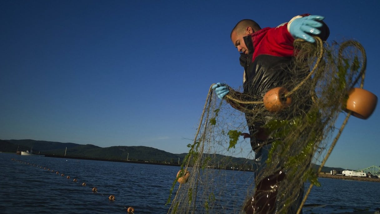 L'accord de pêche Maroc-UE a été renouvelé en juillet 2013
