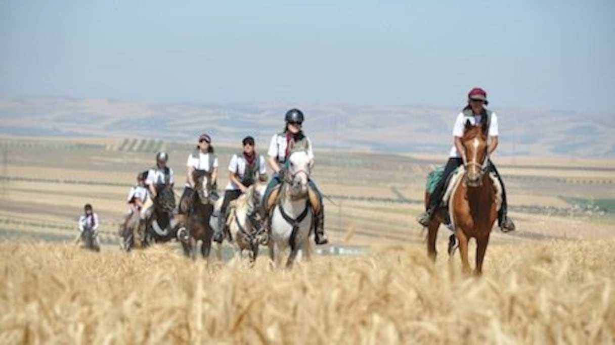 Un raid à travers la nature mordorée de la belle Meknès!