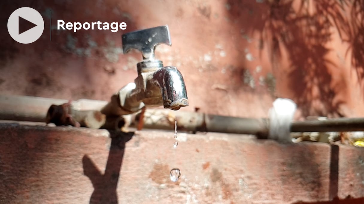 En attendant la création de cinq station d’épuration des eaux usées, les espaces verts de Casablanca sont arrosés avec de l'eau potable...
