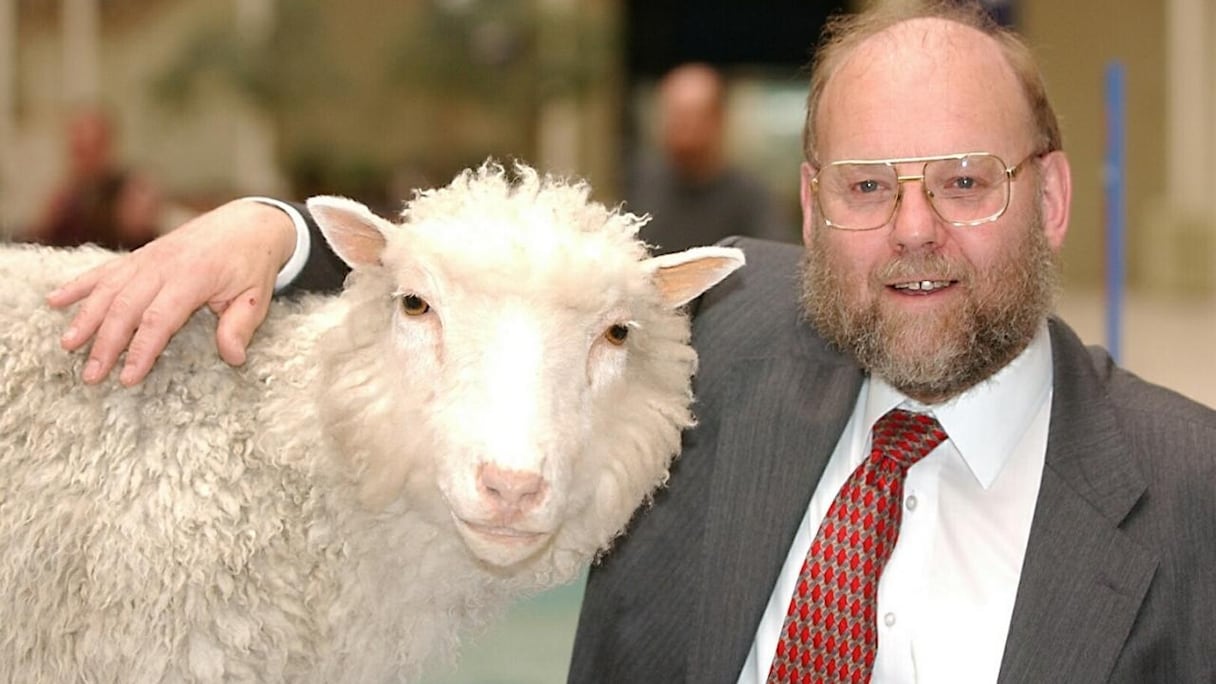 Le professeur Ian Wilmut et sa brebis Dolly qui trône désormais au musée.
