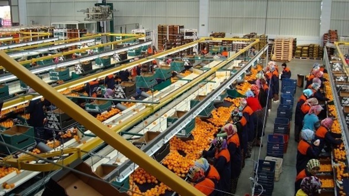 Une usine agro-alimentaire au Maroc.
