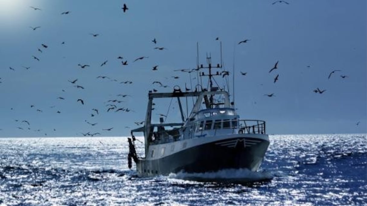 Un chalutier en haute mer. 
