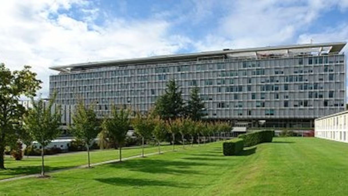 Siège de l'Organisation Mondiale de la Santé, à Genève. 
