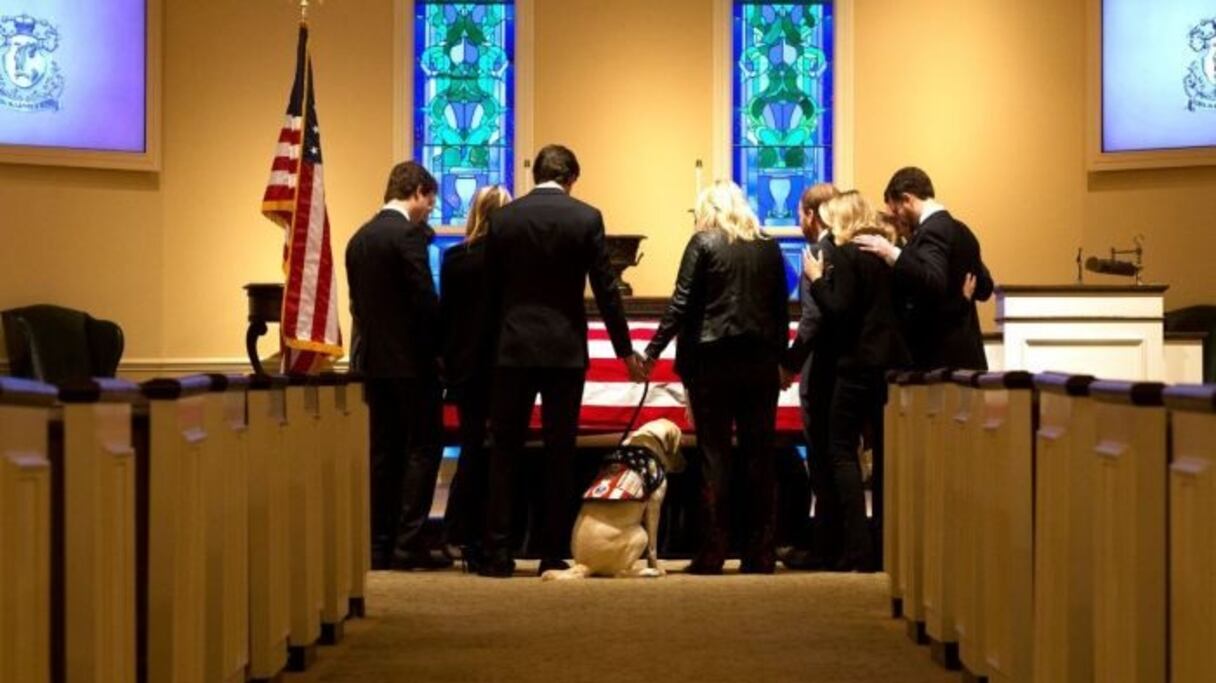 Entraîné pour accompagner, et apaiser, les anciens combattants blessés ou souffrant de troubles psychologiques, Sully va rejoindre les services de l'hôpital militaire Walter Reed, près de Washington.