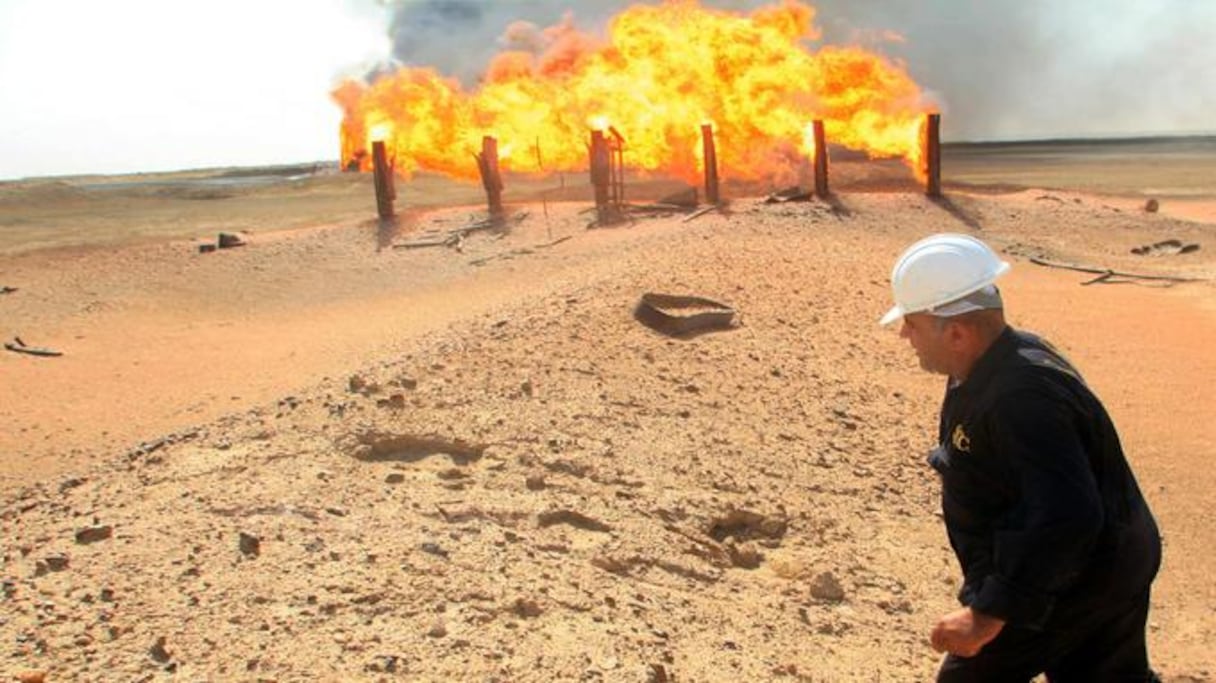 Les IDE restent accaparés par un petit nombre de secteurs comme l’extraction pétrolière, les services et tourisme ou le bâtiment.
