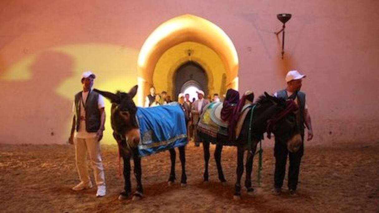 Un festival qui n'a pas manqué de rendre hommage aux muletiers.