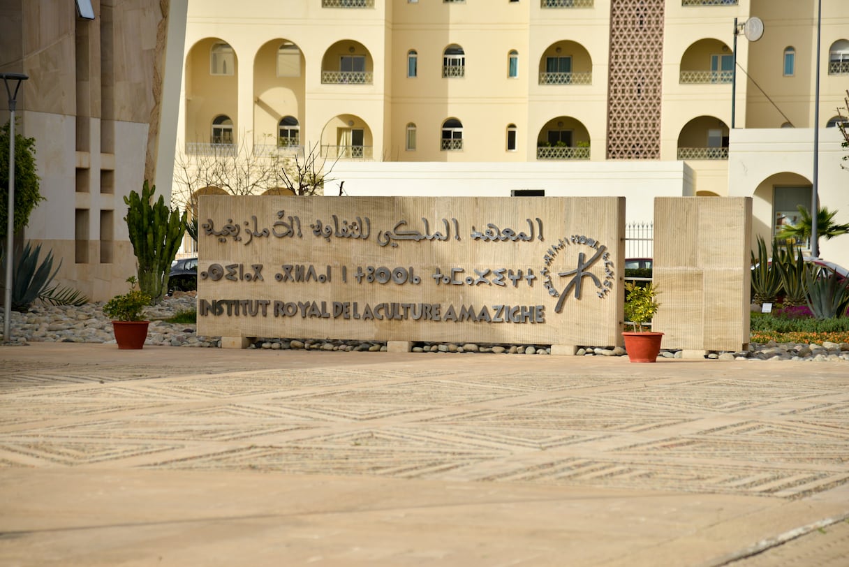 institut royal de la culture amazighe