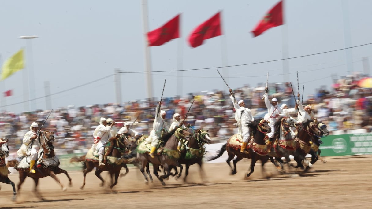 Rapidité et grâce sont les mots d'ordre du traditionnel spectacle de fantasia
