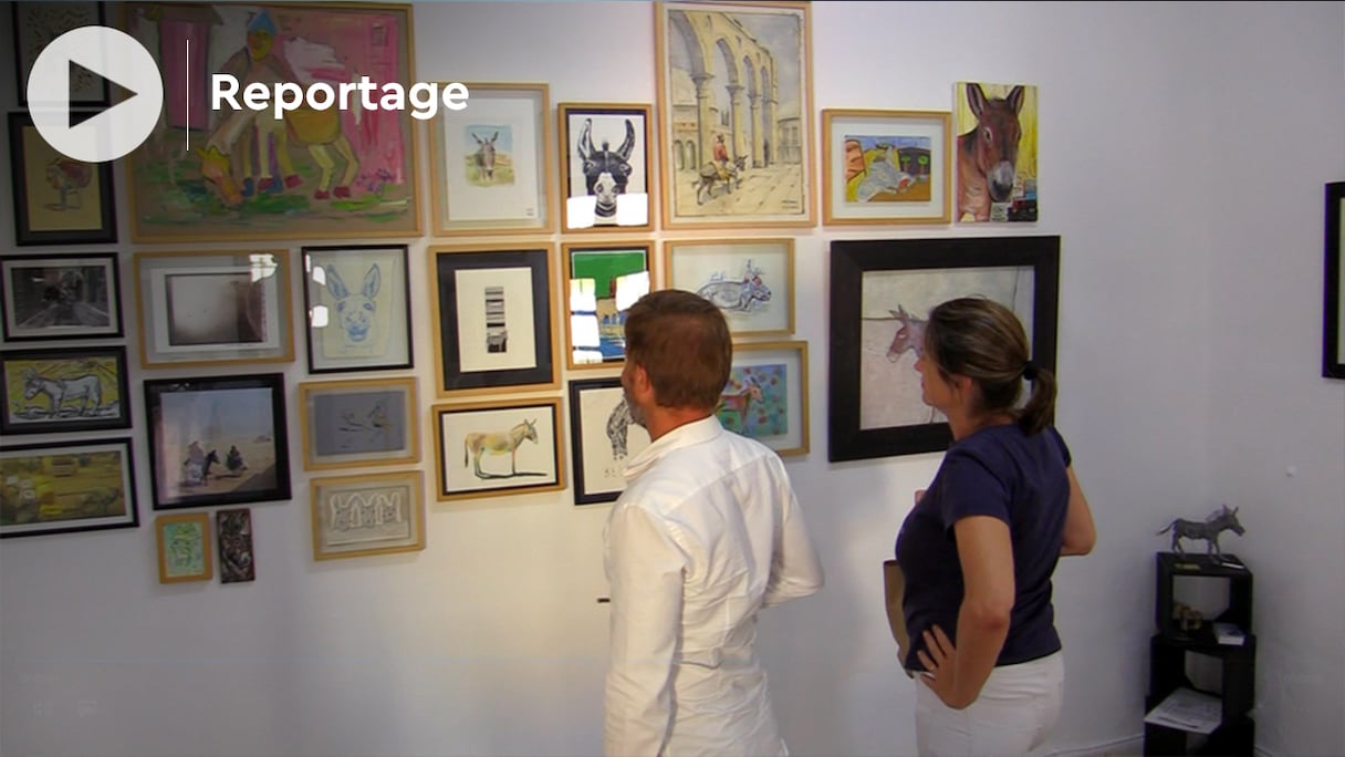 Un musée dédié à l'âne a ouvert ses portes à Tanger.
